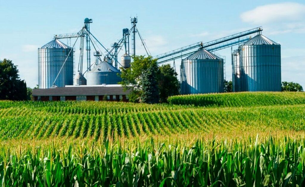 Etanol de milho cresce 50% e leva agroindústria novo patamar